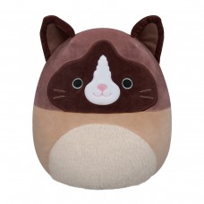 М'яка іграшка Squishmallows – Кіт Вудворд  (30 cm)