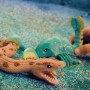 Дисплей стретч-игрушек в виде животного Legend of animals – Морские доисторические хищники (12 шт.) (#sbabam)