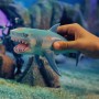 Дисплей стретч-игрушек в виде животного Legend of animals – Морские доисторические хищники (12 шт.) (#sbabam)
