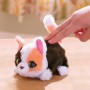 Интерактивная игрушка Furreal серии My Mini's – Маленький котенок (Furreal)