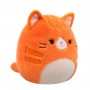 М'яка іграшка Squishmallows – Руда кішечка Джіджі (30 cm) (Squishmallows)