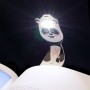 Закладка-ліхтарик Flexilight Rechargeable - Панда (FLEXILIGHT)