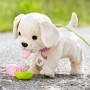 Інтерактивний улюбленець Baby born - Мій щасливий песик (BABY born)