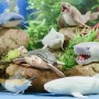 Стретч-игрушка в виде животного серии Legend of animals Макси - Хранители океана(в дисп.) (#sbabam)