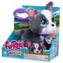 Интерактивная игрушка Furreal серии Walk-a-Lots – Французский бульдог (Furreal)