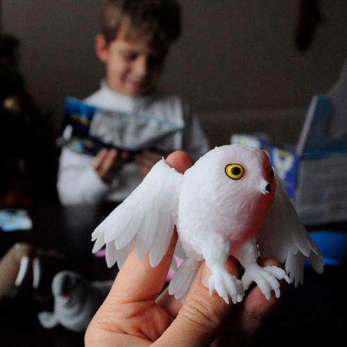 Стретч-іграшка у вигляді тварини – Володарі криги (#sbabam)