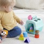 Игровой набор "Сортер-переноска с животными" Fisher-Price (Fisher-Price)