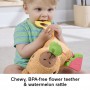 Розвиваюча мʼяка іграшка "Капібара" Fisher-Price (Fisher-Price)