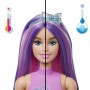 Кукла Barbie Color Reveal серии "Воздушные шарики-питомцы" (сюрприз) (Barbie)