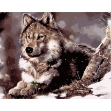 Картина по номерам "Волк" ★★★★