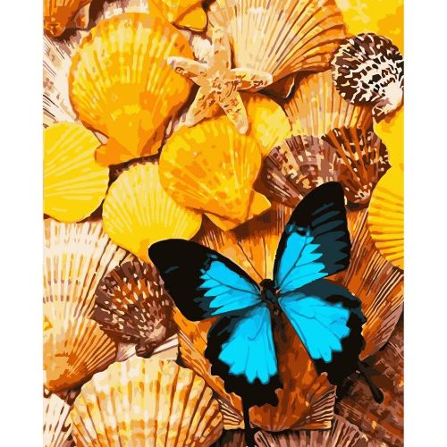 Картина по номерам "Бабочка на ракушках" (MiC)