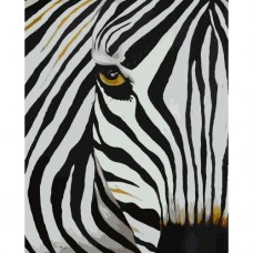 Картина по номерам "Взгляд зебры"