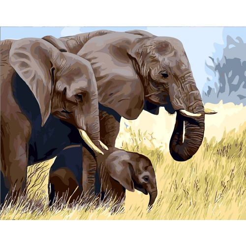Картина по номерам "Семья слонов" (MiC)