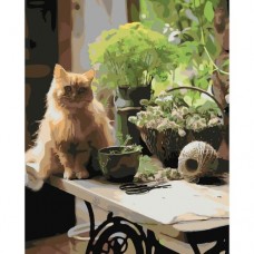 Картина по номерам "Котик на кухне"