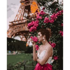 Картина по номерам "Красота в Париже"
