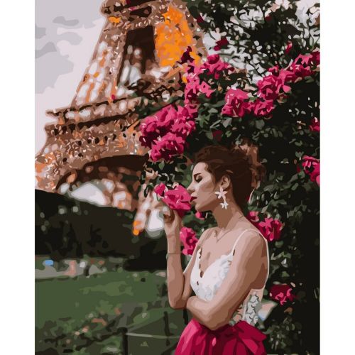 Картина за номерами "Краса в Парижі" (MiC)