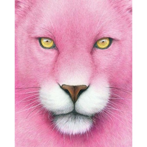 Картина по номерам "Розовая пантера" (MiC)