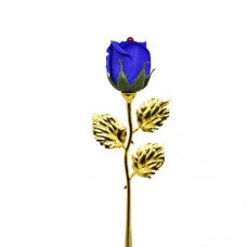 Роза-мило із золотим стеблом, синій