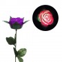 Троянда зі світлом, 40 см (фіолетовий) (MiC)