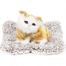 Котик-пухнастикна килимку, вид 1