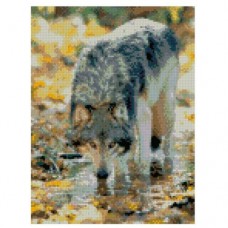 Алмазная мозаика "Волк на водопое"