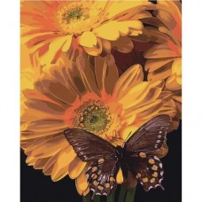 Картина по номерам "Бабочка на подсолнухе"