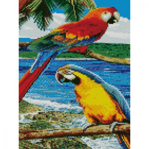 Алмазна мозаїка "Папуги на пляжі" (Strateg)