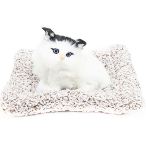 Котик-пухнастикна килимку, вид 3 (MiC)