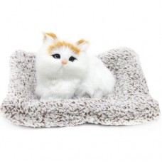 Котик-пухнастикна килимку, вид 5