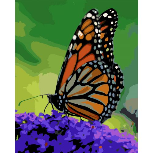 Картина за номерами "Помаранчевий метелик" (Оптифрост)