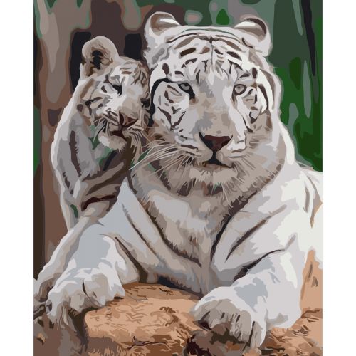 Картина по номерам "Белые тигры" (Оптифрост)