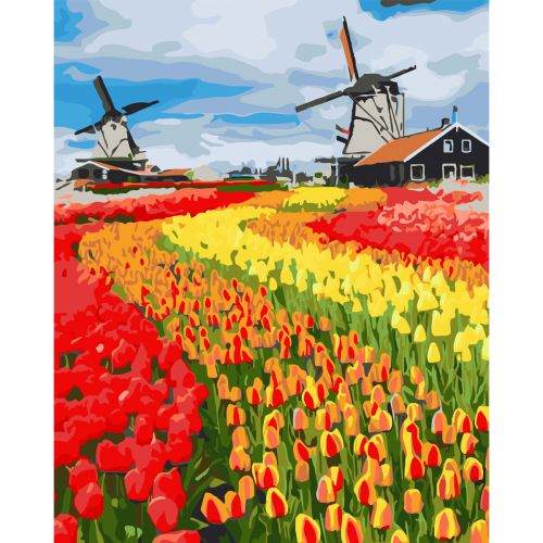 Картина по номерах 0055 ОРТ кол. Поле тюльпанів у Голландії 40*50 (MiC)
