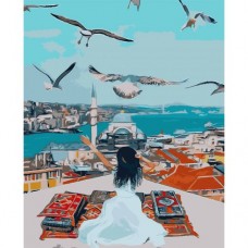 Картина по номерах 0072 ОРТ кол. Дівчинка, чайки, море в Стамбулі  40*50