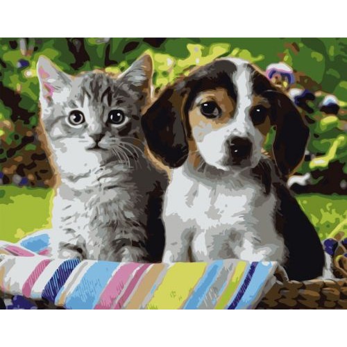 Картина по номерам "Котенок и щеночек" ★★★ (Strateg)