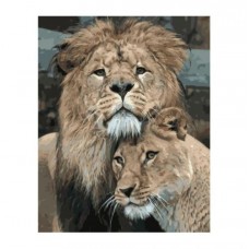 Картина по номерам "Пара львов"