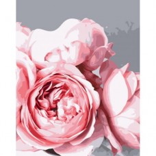 Картина по номерам "Розовые пионы"