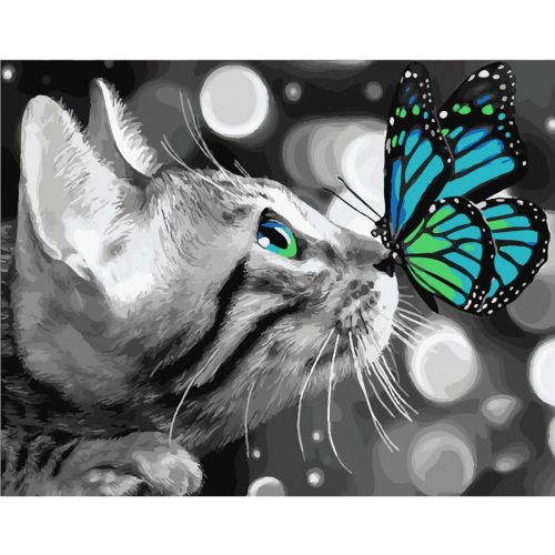 Картина по номерам "Котенок с бабочкой" (Strateg)