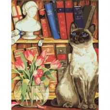 Картина по номерам "Сиамская кошка"
