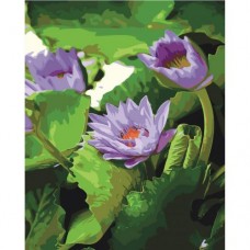 Картина по номерам "Водная лилия"