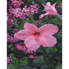 Картина по номерам "Розовый цветочек"