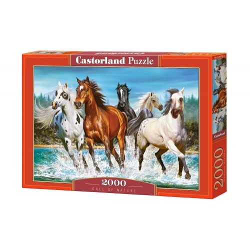 Пазлы "Табун лошадей", 2000 элементов (Castorland)