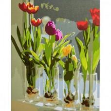 Картина по номера "Тюльпаны в стаканах"