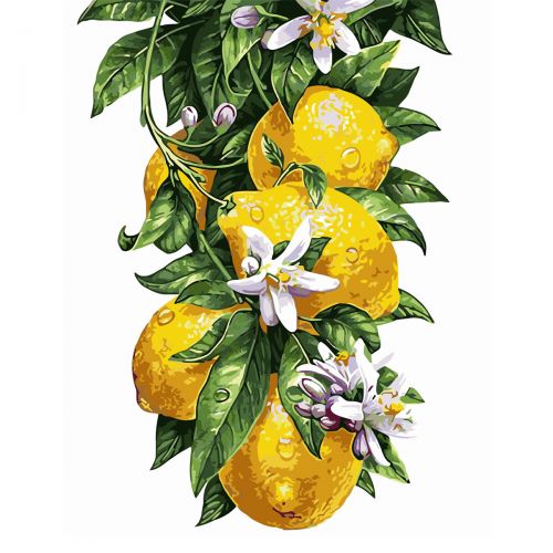 Картина по номерам "Лимоны" ★★★★ (Strateg)