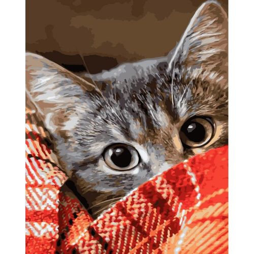 Картина по номерам "Котик под одеялом" (Strateg)