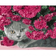 Картина по номерам "Серый кот в цветах" ★★★★