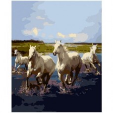 Картина по номерам "Четверка лошадей" 40х50 см