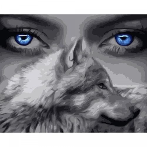 Картина за номерами "Очі вовка" 40х50 см (Strateg)