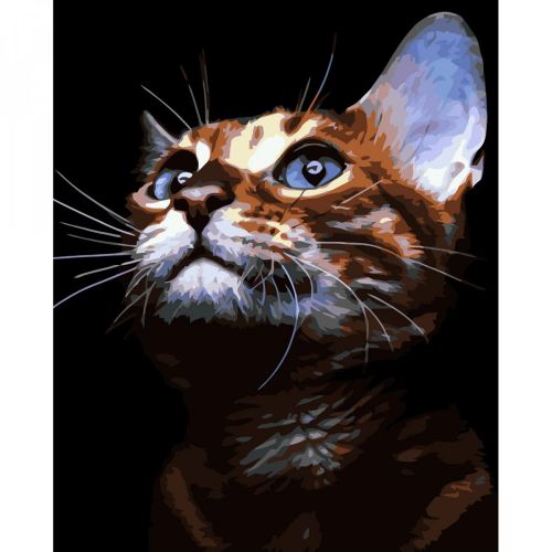 Картина по номерам "Рыжий котик" 40х50 см (Strateg)