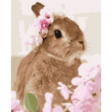Картина по номерам "Кролик в веночке" 40х50 см