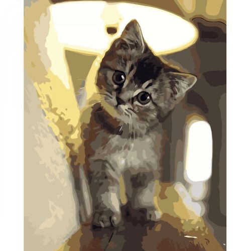 Картина за номерами "Маленький котик" ★★★★ (Strateg)